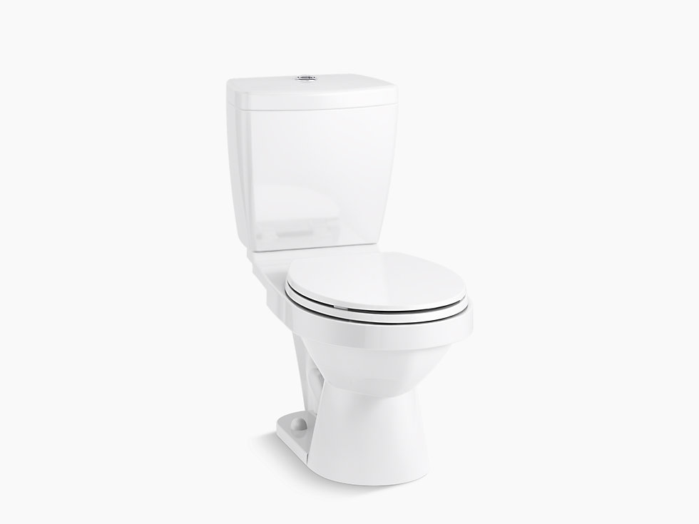 Two Piece Round Front Dual Flush Toilet, Dual Flush Round Toilet